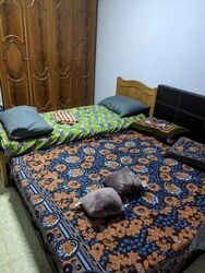 Blk 129 Bukit Batok West Avenue 6 (Bukit Batok), HDB 3 Rooms #578982781